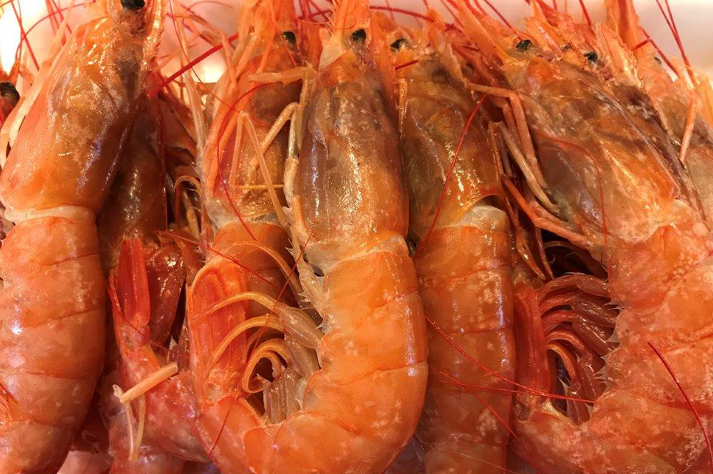 石山商店 赤エビ