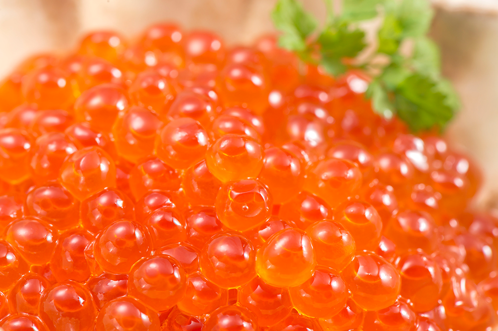 石山商店 イクラ