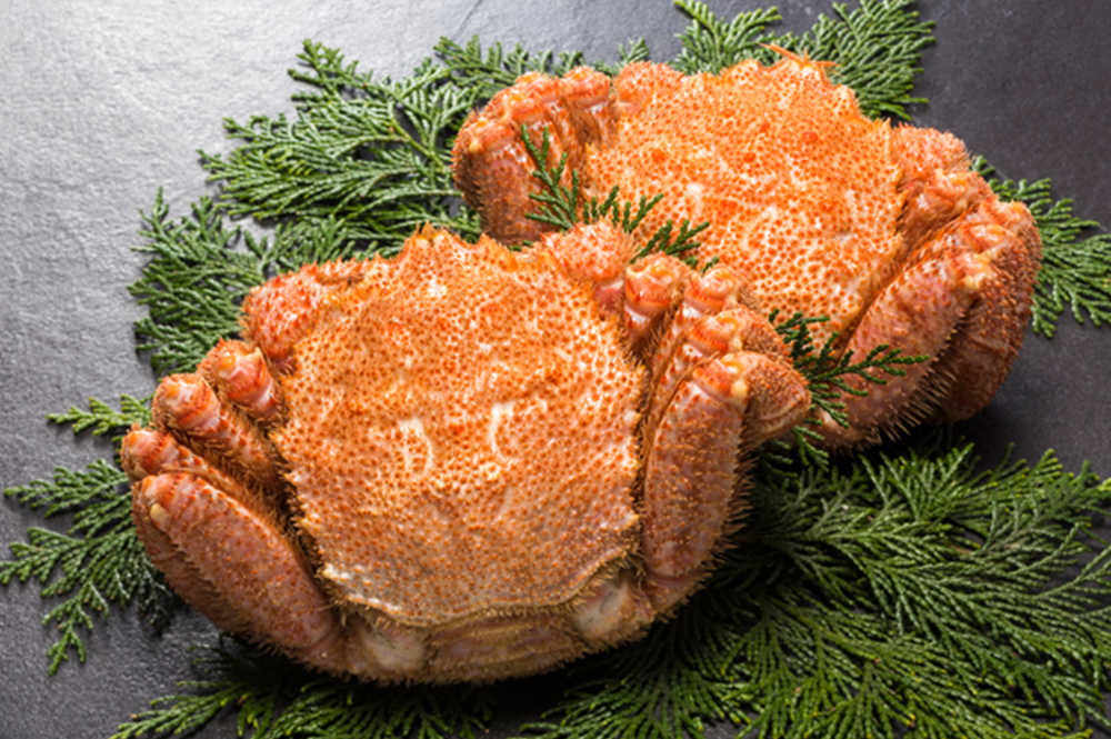 石山商店 毛ガニ